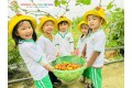 THU HOẠCH QUẢ CÀ CHUA CÙNG CÁC CHÚ GẤU NHỎ
